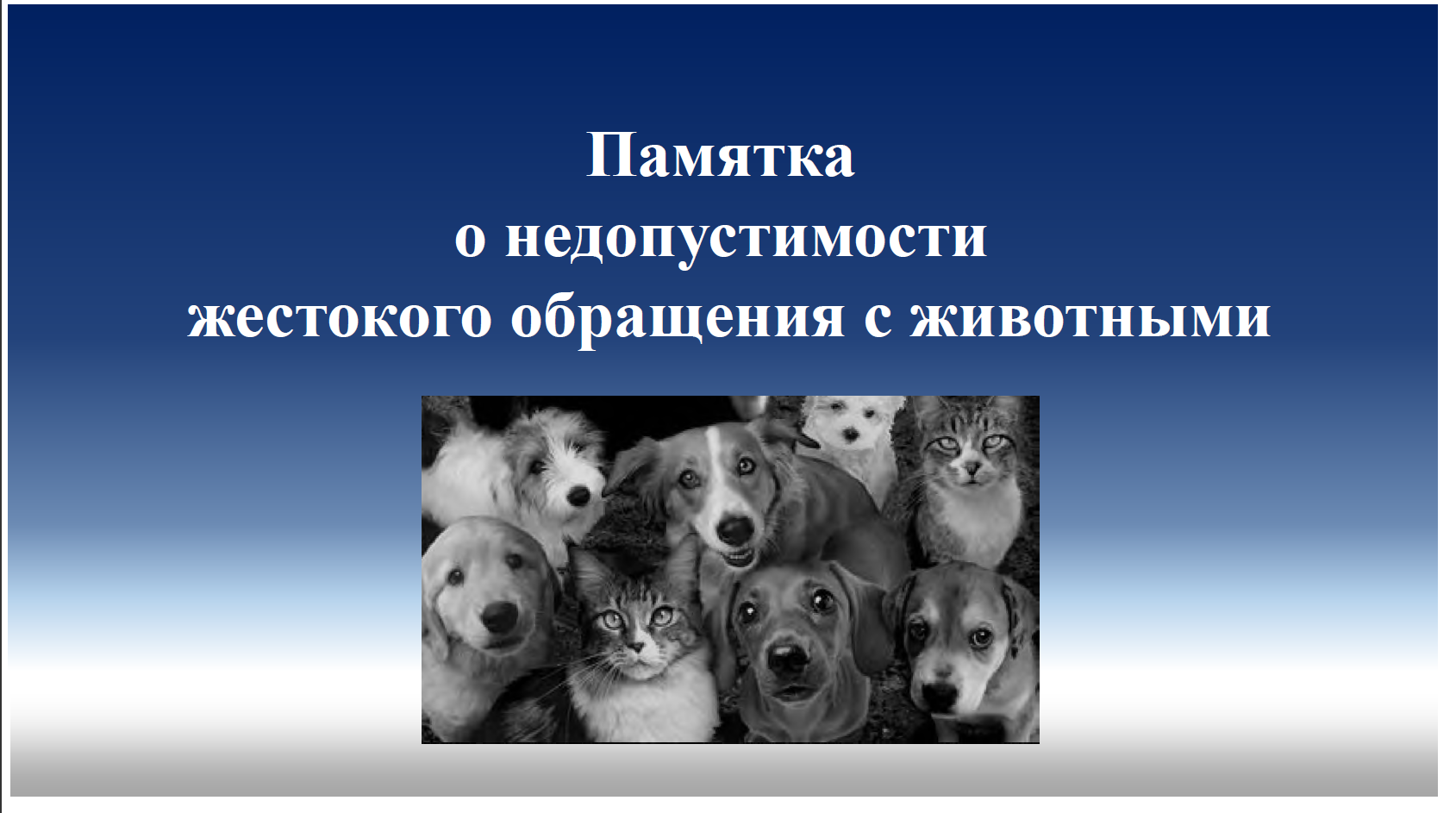 Памятка об ответственном обращении с животными 498-ФЗ